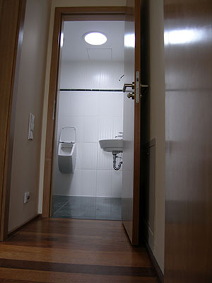 Lightway sun tunnel providing natural daylight in the bathroom.